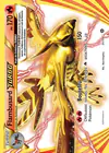 Carte Flambusard TURBO 21/114
