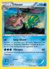 Carte Tritosor 29/114