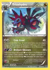 Carte Trioxhydre 86/114