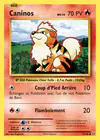 Carte Caninos 17/108