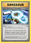 Carte Lien Spirituel Tortank 73/108