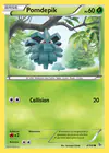 Carte Pomdepik 4/106