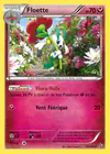 Carte Floette 64/106