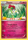 Carte Floette 65/106