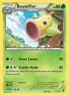Carte Boustiflor 2/111