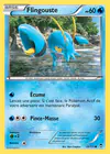 Carte Flingouste 23/111