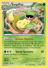 Carte Empiflor 3/111