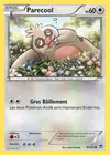 Carte Parecool 81/111