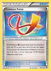 Carte Ceinture Force 91/111