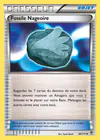 Carte Fossile Nageoire 98/111