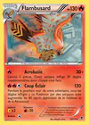 Carte Flambusard 10/119