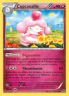 Carte Cupcanaille 69/119