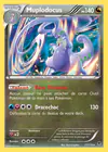 Carte Muplodocus 77/119