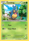 Carte Carabing 8/119