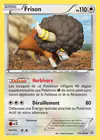 Carte Frison 119/160