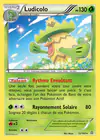 Carte Ludicolo 12/160