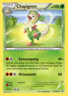 Carte Chapignon 16/160