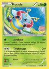 Carte Muciole 17/160