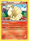 Carte Feunard 21/160