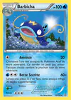 Carte Barbicha 40/160