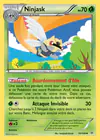 Carte Ninjask 10/108