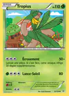 Carte Tropius 12/108