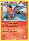 Carte Flambusard 15/108