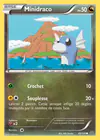 Carte Minidraco 49/108