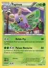 Carte Papinox 7/108
