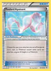 Carte Foulard Apaisant 84/108