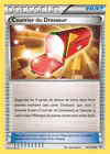 Carte Courrier du Dresseur 92/108