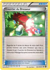 Carte Courrier du Dresseur 92a/108