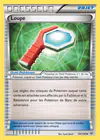 Carte Loupe 95/108