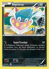 Carte Sepiatop 45/98
