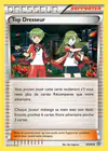 Carte Top Dresseur 69/98