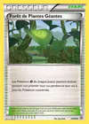 Carte Forêt de Plantes Géantes 74/98