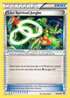 Carte Lien Spirituel Jungko 80/98