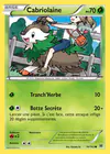 Carte Cabriolaine 16/162