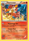 Carte Flamoutan 24/162
