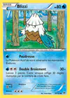 Carte Blizzi 39/162