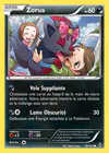 Carte Zorua 90/162