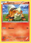 Carte Caninos 10/122