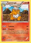 Carte Camérupt 13/122