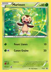 Carte Marisson XY01/