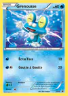 Carte Grenousse XY03/