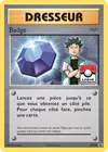 Carte Badge XY203/