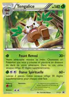 Carte Tengalice XY23/