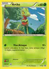 Carte Arcko XY36/