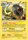 Carte Iguolta XY47/