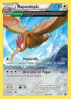 Carte Rapasdepic XY57/